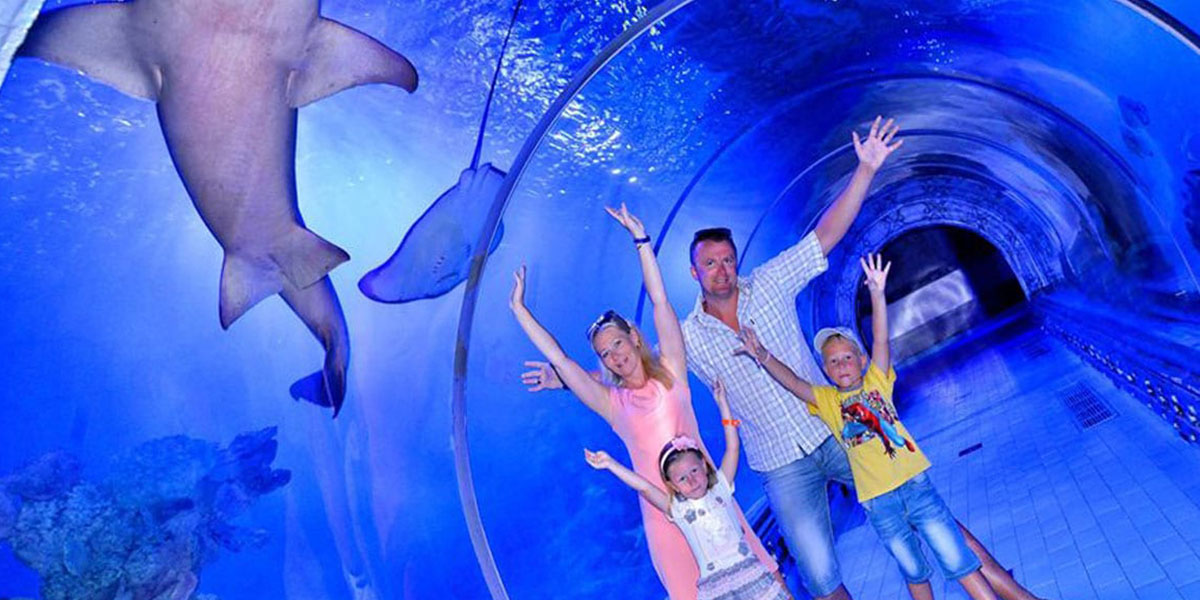 Hurghada Grand Aquarium Trip