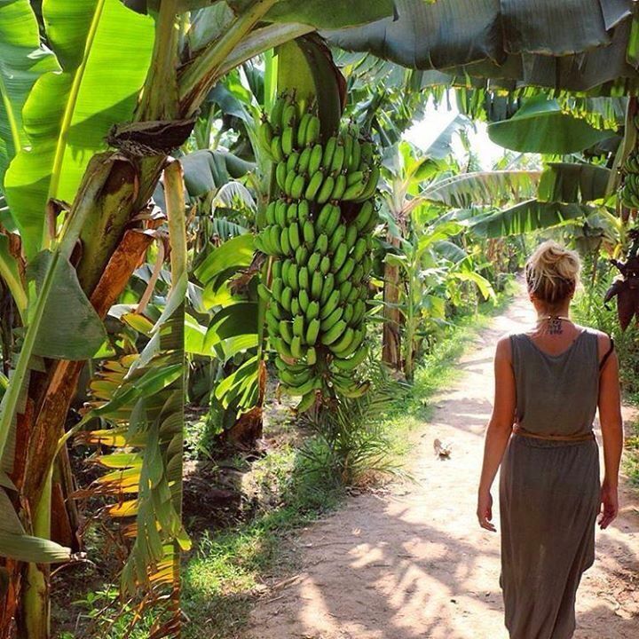 Banana Island in Luxor